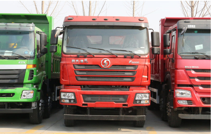 Diesel van de 25 Kubieke Metersemmer Stortplaatsvrachtwagen 15 van Ladingston Euro II van de Aandrijvingsrhd van 8x4 de Rechtse Kipper 430hp