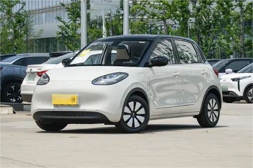 Tweedehands Nieuwe Energievoertuigen Wuling Bingo Lichte Koffie Kleur 333KM Model
