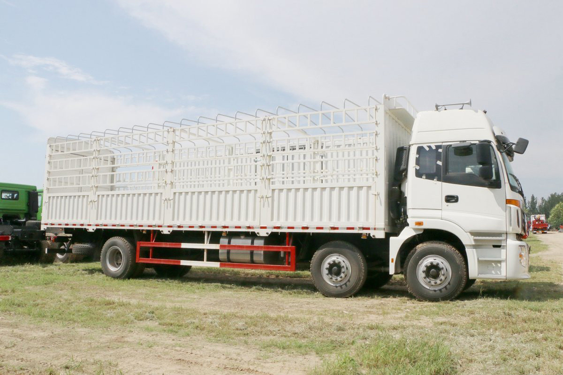 Foton Auman Stake Truck 6 Series Heavy Duty Truck Diesel 8-speed 245HP 6X2 9,53m Wit lichaam