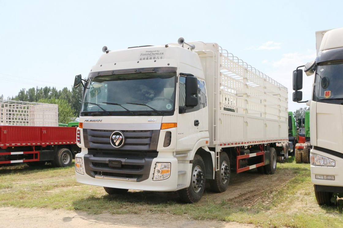 Foton Auman Stake Truck 6 Series Heavy Duty Truck Diesel 8-speed 245HP 6X2 9,53m Wit lichaam