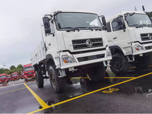 4x4 vrachtwagen Dongfeng hek vrachtwagen blad voorjaar 10 ton laden slechte weg rijden euro 5