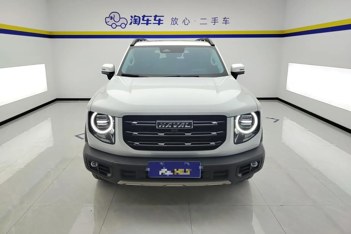 Betaalbare Haval Big Dog 2021 1.5T 2WD Border Collie Edition Te Koop 2WD Luxe Gezinsgebruik