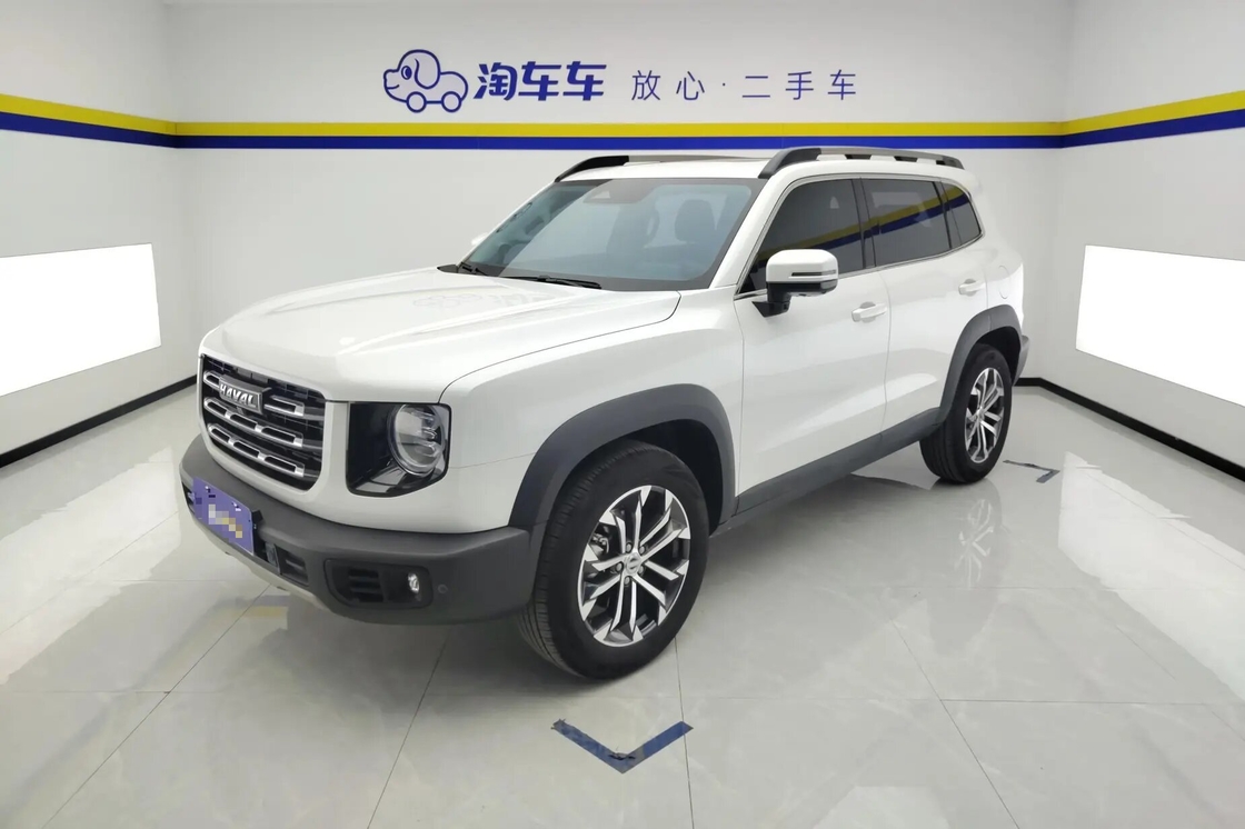 Betaalbare Haval Big Dog 2021 1.5T 2WD Border Collie Edition Te Koop 2WD Luxe Gezinsgebruik
