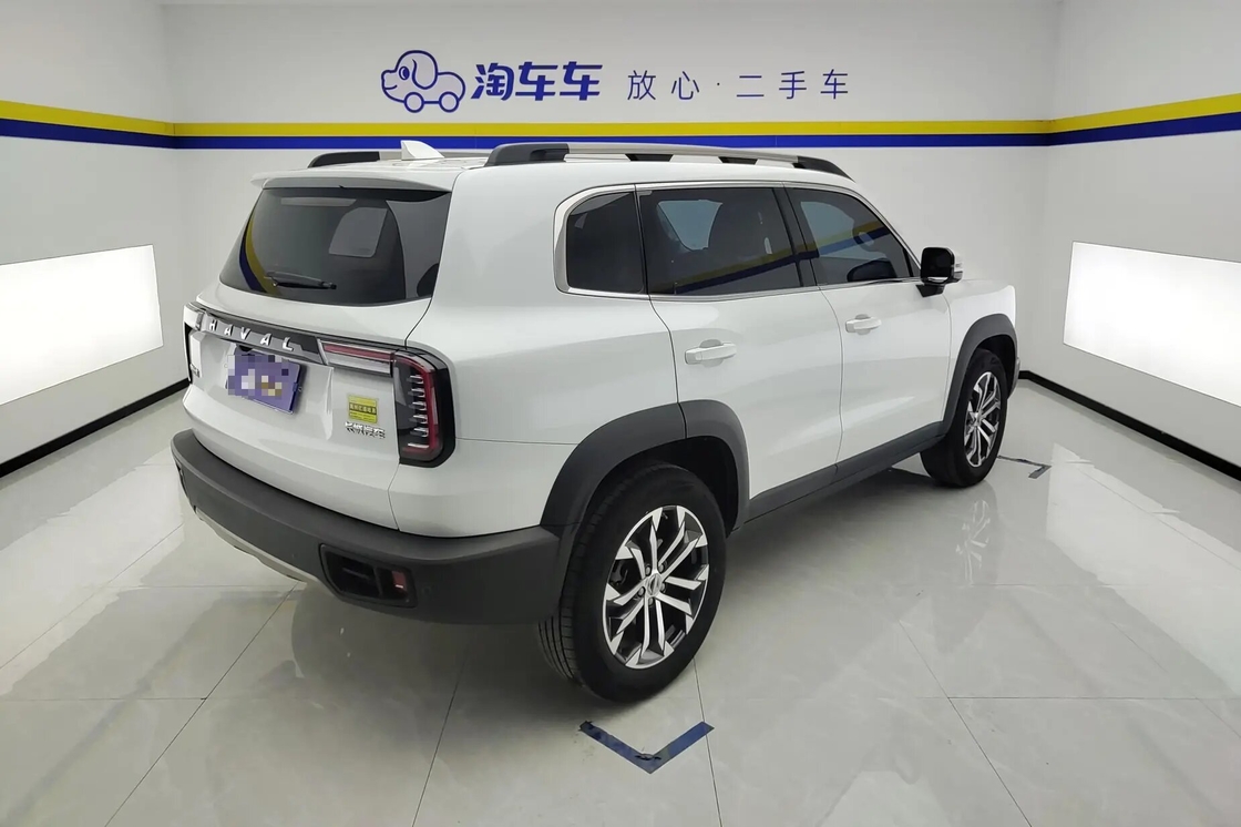 Betaalbare Haval Big Dog 2021 1.5T 2WD Border Collie Edition Te Koop 2WD Luxe Gezinsgebruik
