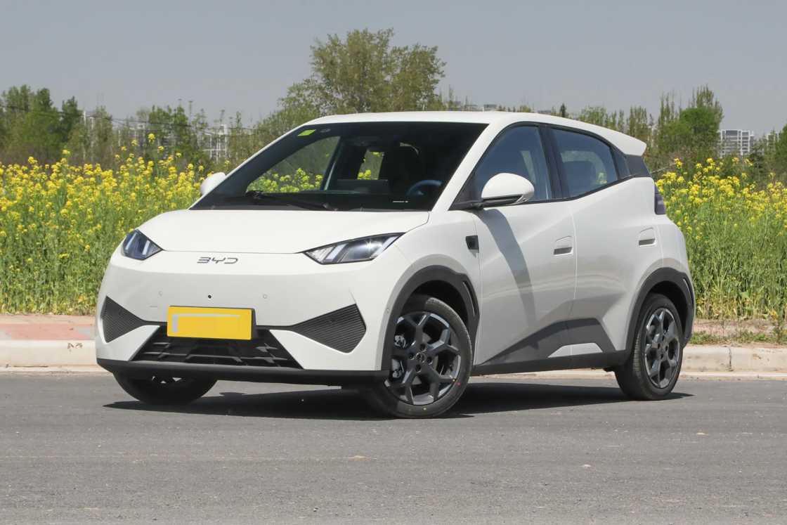 Betaalbare Nieuwe BYD Seagull Kleine Auto 2025 Elektrisch 2WD Voor Export voor Familiegebruik