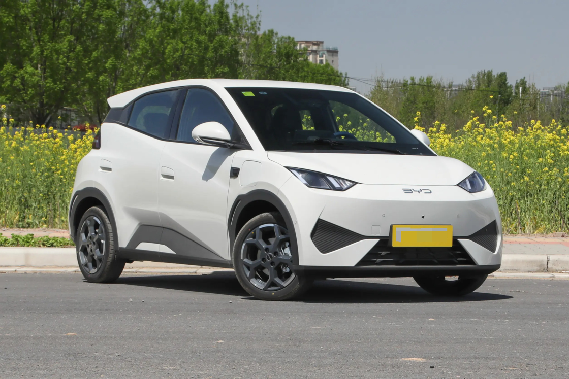 Betaalbare Nieuwe BYD Seagull Kleine Auto 2025 Elektrisch 2WD Voor Export voor Familiegebruik