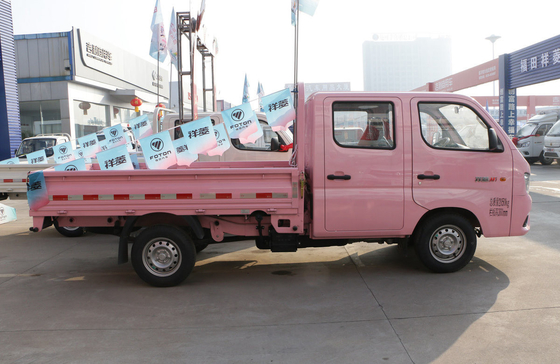 Cargo Box Truck Foton Mini Truck Roze Kleur Manuele Transmissie Benzinemotor Euro 6